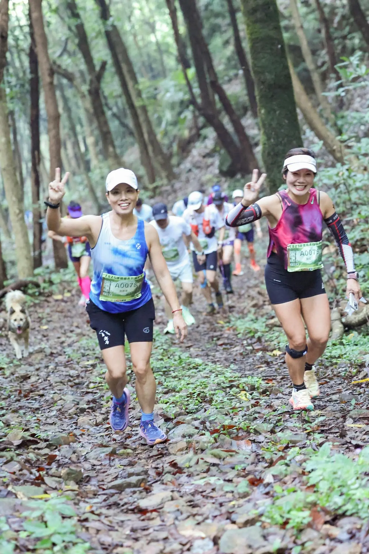 仿佛在天然, 了原始秘境, 润肺跑 仿佛在天然, 了原始秘境, 润肺跑